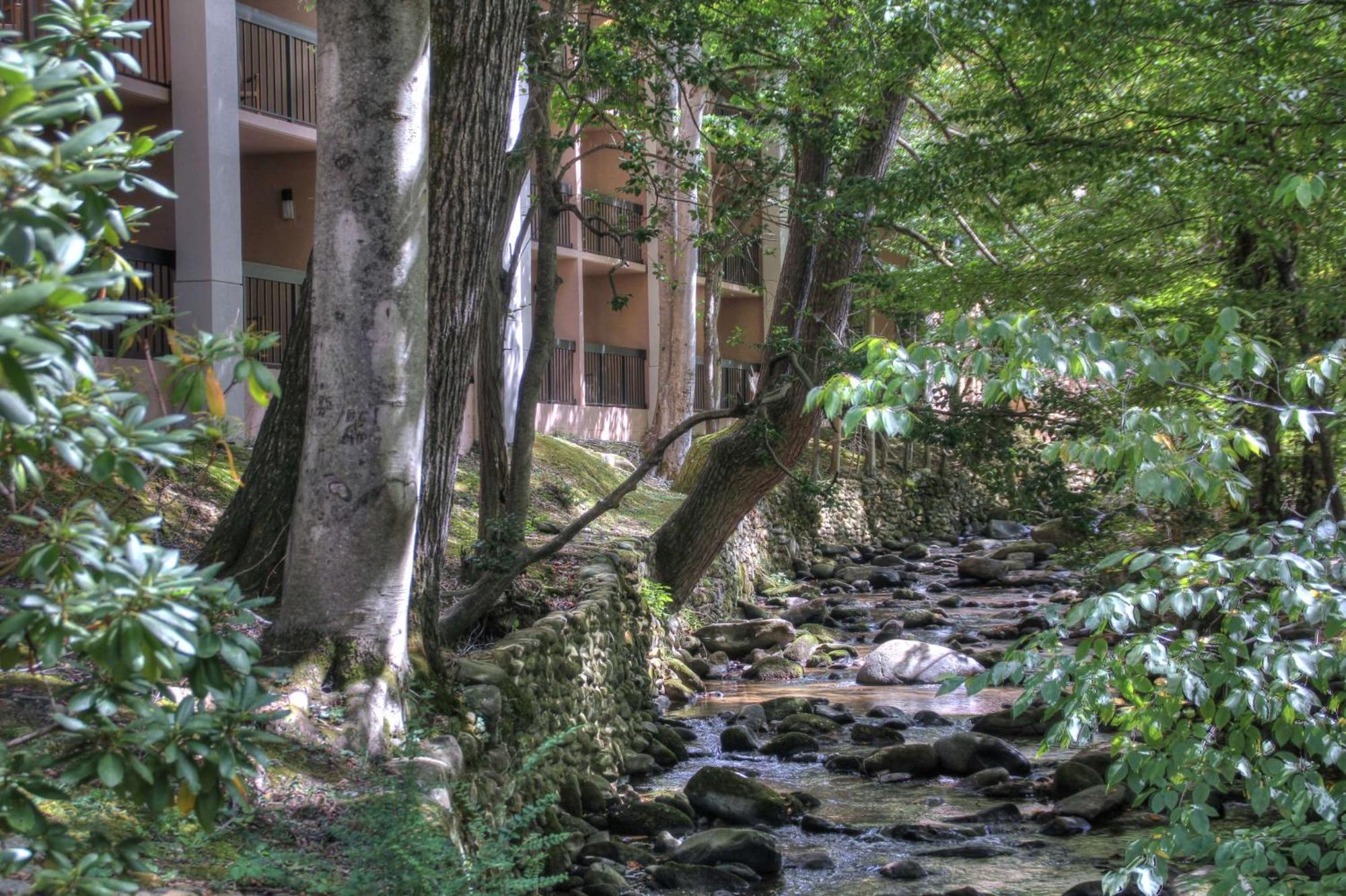 Hampton Inn Gatlinburg Exteriör bild